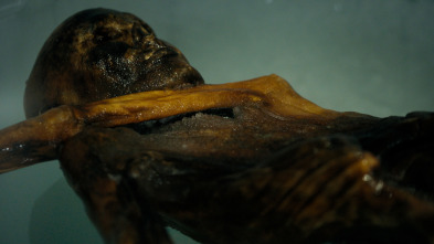 Arqueología de la muerte: Ötzi: El caso sin resolver más antiguo del mundo