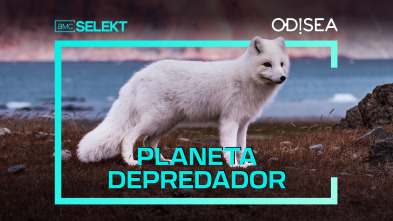 Planeta depredador 