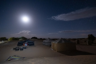 Mamíferos: En la noche