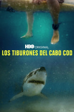 Los tiburones del Cabo Cod