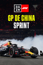 GP de China (Shanghai): GP de China: Sprint