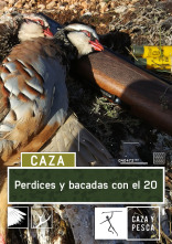 Perdices y becadas con el 20