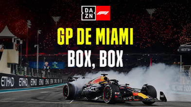 GP de Miami (Miami): GP de Miami: Box, Box