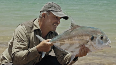 Los últimos peces...: Fin de trayecto