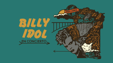 Billy Idol en concierto