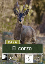 El Corzo (T1)