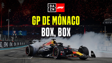GP de Mónaco (Mónaco): GP de Mónaco: Box, Box