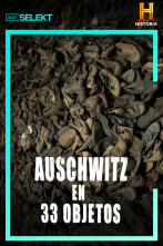 Auschwitz en 33 Objectes