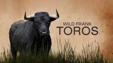 Wild Frank: Toros 