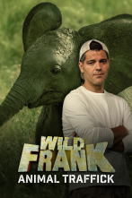 Wild Frank al rescate 