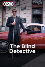 The blind detective (T1)