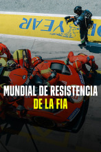 Mundial de Resistencia de la FIA