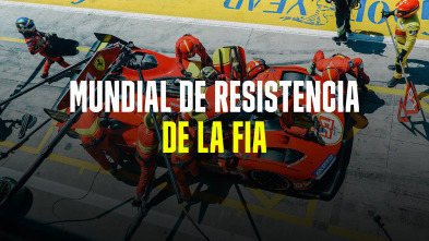 Mundial de Resistencia de la FIA