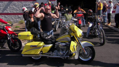 American Chopper,...: Motocicleta Pilot y motocicleta Ducati