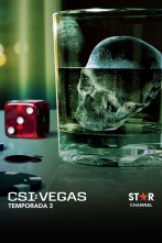 CSI: Vegas (T3)
