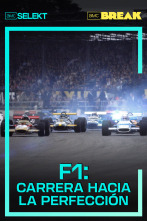 F1: Carrera hacia la perfección 