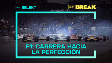 F1: Carrera hacia la perfección 