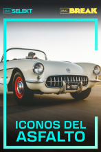 Iconos del asfalto (T2)