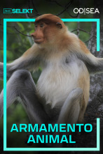 Armamento animal 