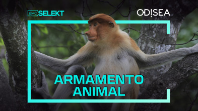 Armamento animal 