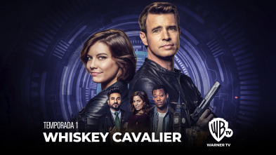 Whiskey Cavalier (T1): Ep.10 El indomable Will Hunting