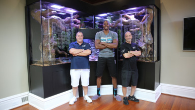 Acuarios XXL: El acuario para serpientes de Dwight Howard