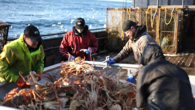 Pesca radical: Liberar a la bestia