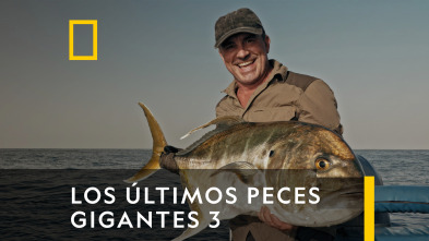 Los últimos peces gigantes 