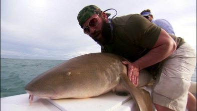 Cuestión de agallas (T1): Obsesionado por los tiburones