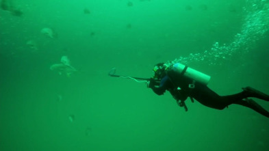 Cuestión de agallas (T1): No conoces a Jack Crevalle