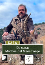 De caza: machos del Maestrazgo