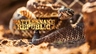 República Reptil 