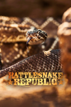 República Reptil 