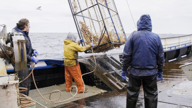 Pesca radical: Fuerza mayor