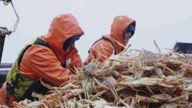 Pesca radical, Season 17: La verdad te hará libre