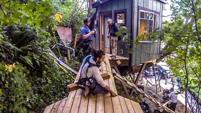 Mi casa en un árbol: Meditación entre los arces