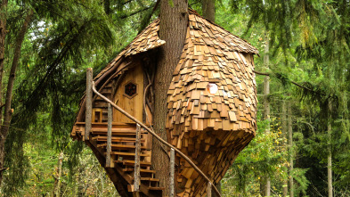 Mi casa en un árbol: Colmena en los árboles