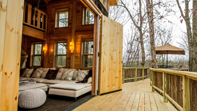 Mi casa en un árbol: Casa para un escalador en Kentucky