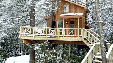 Mi casa en un árbol: El escondite en los árboles definitivo