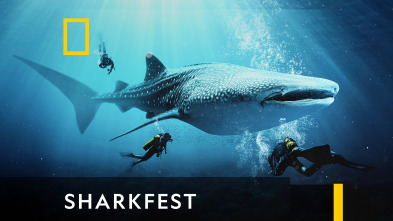 Sharkfest 