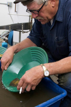 La pesca del oro: Los buenos siempre son los últimos