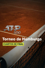 Cuartos de Final: Zverev - Zhang