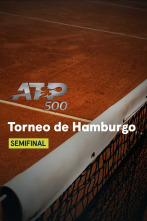 Semifinales: Zverev - Martínez