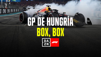GP de Hungría: Box, Box