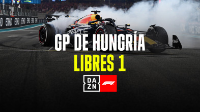 GP de Hungría: Post Libres 1