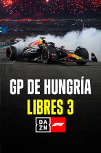 GP de Hungría: Post Libres 3