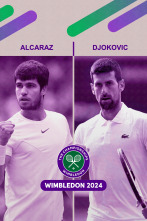 Masculino: Alcaraz - Djokovic