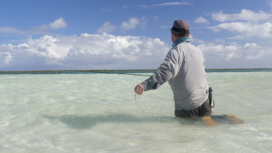 Fish Or Die: El gran macabijo fatal