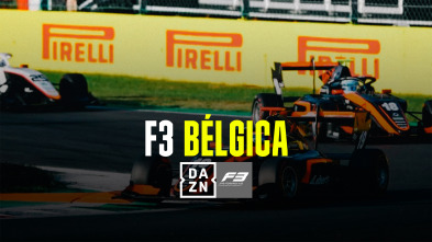 F3 Bélgica: Carrera