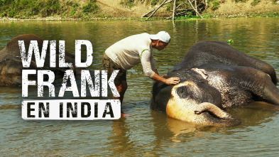 Wild Frank en India 